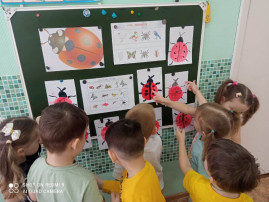 В группе "Ягодка" был реализован краткосрочный проект "Волшебный мир насекомых" В группе "Ягодка" был реализован краткосрочный проект "Волшебный мир насекомых".